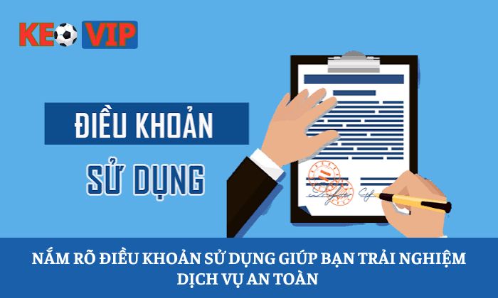 Điều khoản sử dụng