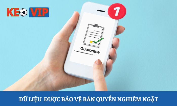 Điều khoản sử dụng