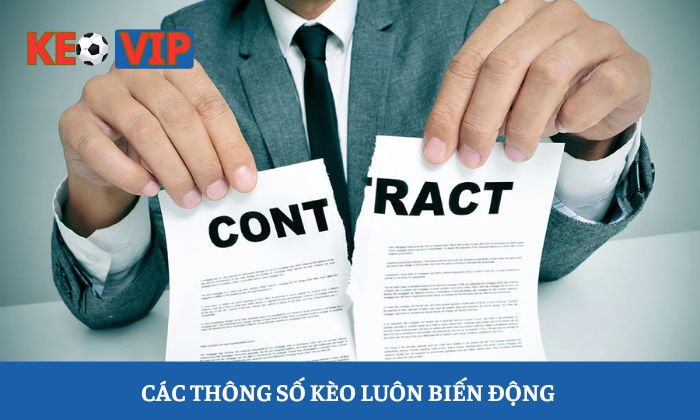 Miễn trừ trách nhiệm