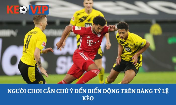 Soi kèo Bundesliga: Giải mã những biến động phía sau bảng tỷ lệ 1 Người chơi cần chú ý đến biến động trên bảng tỷ lệ kèo