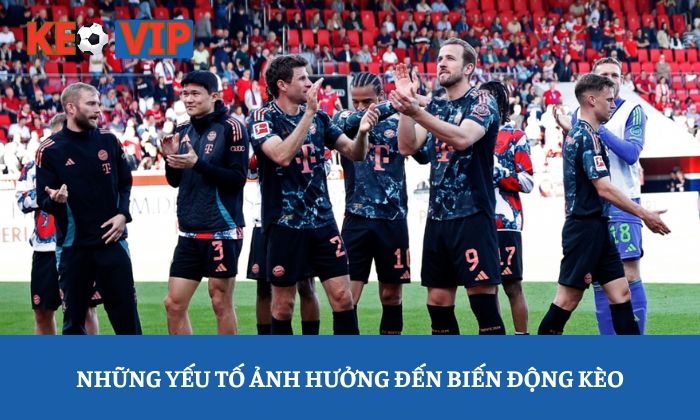 Soi kèo Bundesliga: Giải mã những biến động phía sau bảng tỷ lệ 2 Những yếu tố ảnh hưởng đến biến động kèo