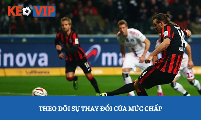 Soi kèo Bundesliga: Giải mã những biến động phía sau bảng tỷ lệ 3 Theo dõi sự thay đổi của mức chấp