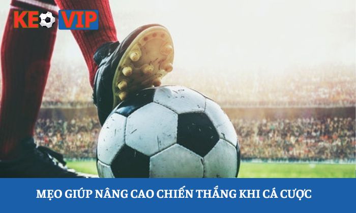 Cách cá độ bóng đá luôn thắng Cách cá độ bóng đá luôn thắng