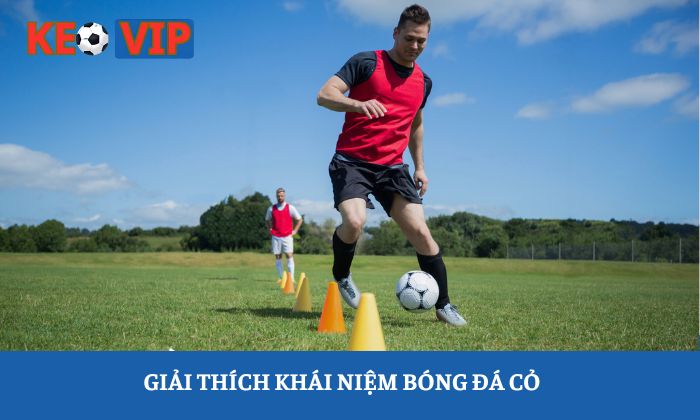 Giải thích khái niệm bóng đá cỏ