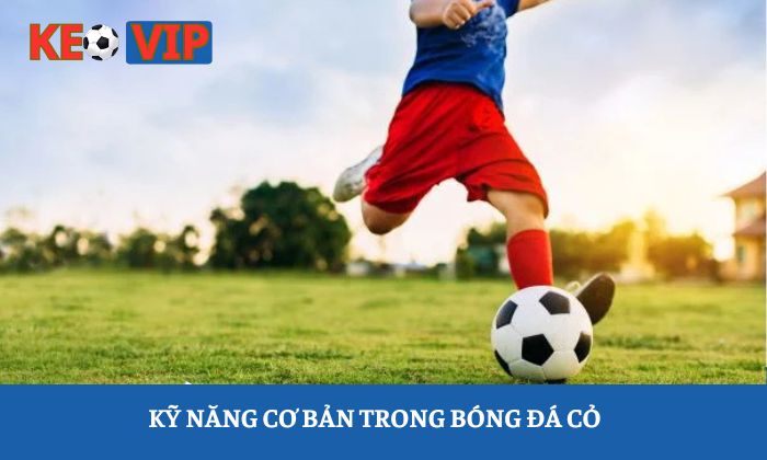 Kỹ năng cơ bản trong bóng đá cỏ
