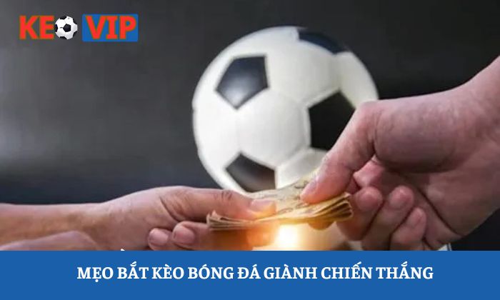 Chiến thuật đặt cược hiệu quả Chiến thuật đặt cược hiệu quả