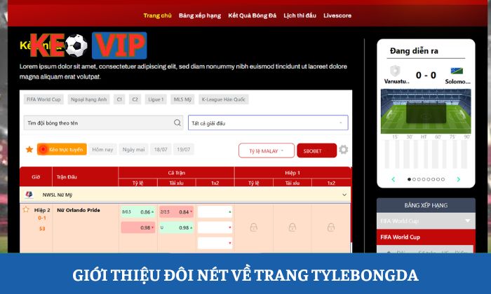 Giới thiệu đôi nét về trang Tylebongda
