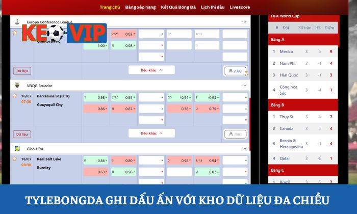 Tylebongda ghi dấu ấn với kho dữ liệu đa chiều 