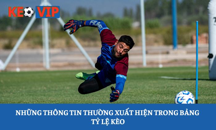 Kèo hai đội ghi bàn là gì? Giải thích chi tiết từ A-Z 2 Những thông tin thường xuất hiện trong bảng tỷ lệ kèo