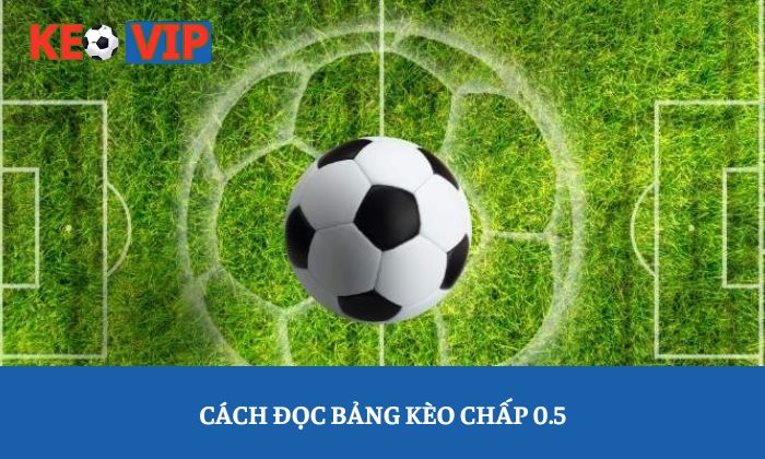 Cách đọc bảng kèo chấp 0.5