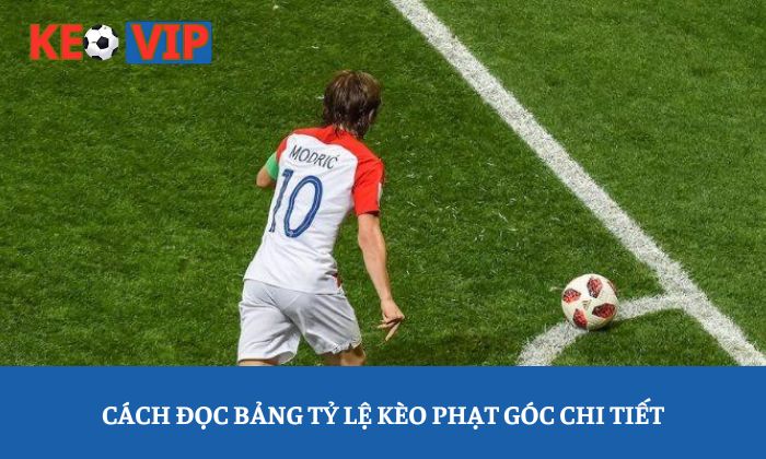 Kèo phạt góc: Bí quyết đọc bảng tỷ lệ trước khi bóng lăn 2 Cách đọc bảng tỷ lệ kèo phạt góc chi tiết