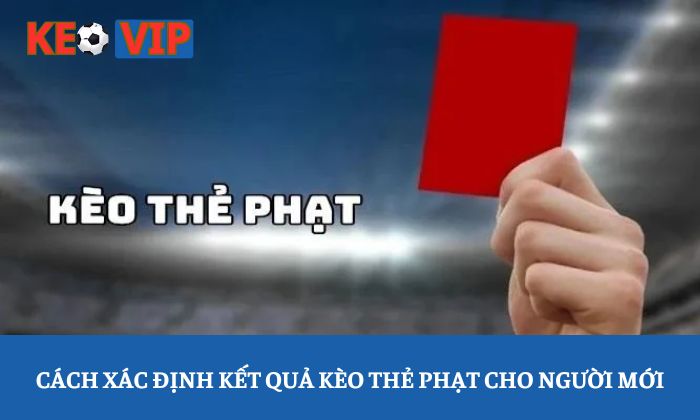 Cách xác định kết quả kèo thẻ phạt cho người mới