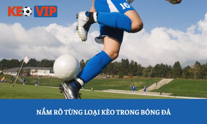 Kinh nghiệm chọn kèo bóng đá chuẩn xác cho người mới bắt đầu 1 Nắm rõ từng loại kèo trong bóng đá