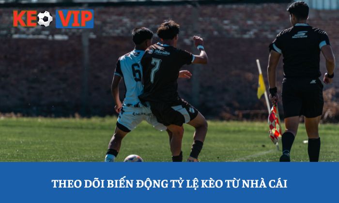 Kinh nghiệm chọn kèo bóng đá chuẩn xác cho người mới bắt đầu 4 Theo dõi biến động tỷ lệ kèo từ nhà cái