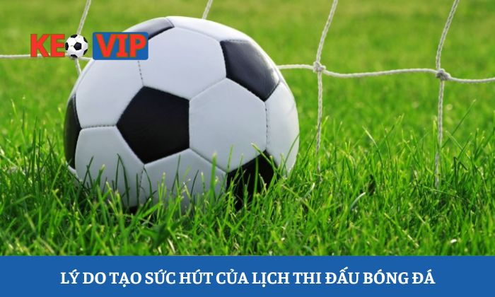 Lịch thi đấu 2 Lý do tạo sức hút của lịch thi đấu bóng đá tại tylebongda