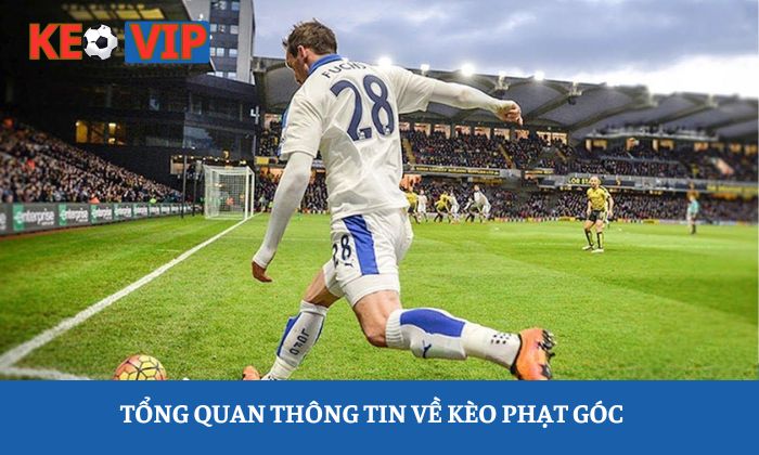 Soi kèo phạt góc Soi kèo phạt góc